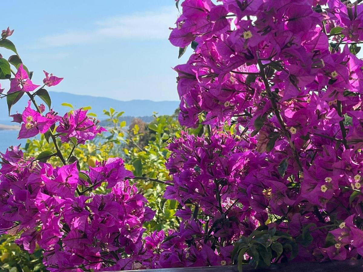 Viva Properties Ouranoupoli Exterior foto